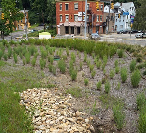 Stormwater protection with native plants and gravel