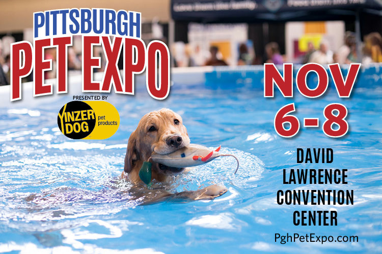 Pet Expo flyer