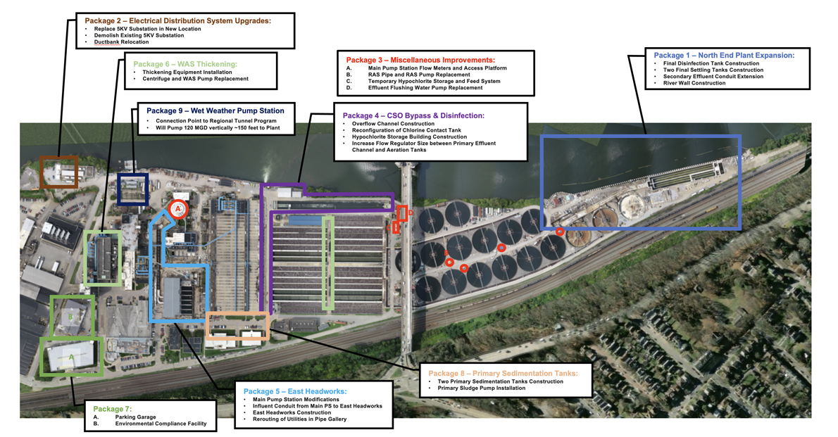 2 phases of plant expansion.
