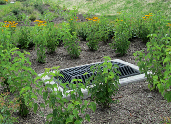 GROW program at ALCOSAN