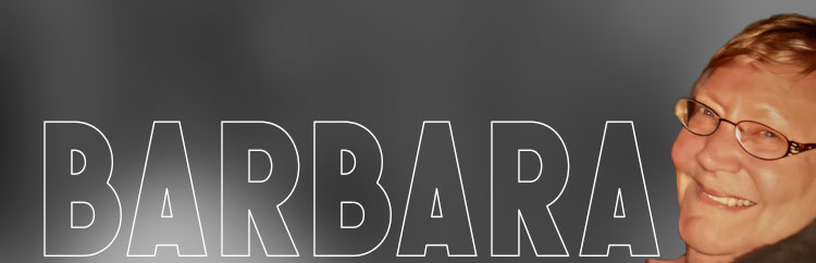 Banner 5