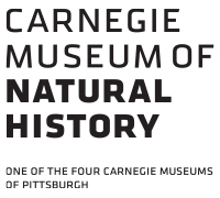 Carnegie Museum 