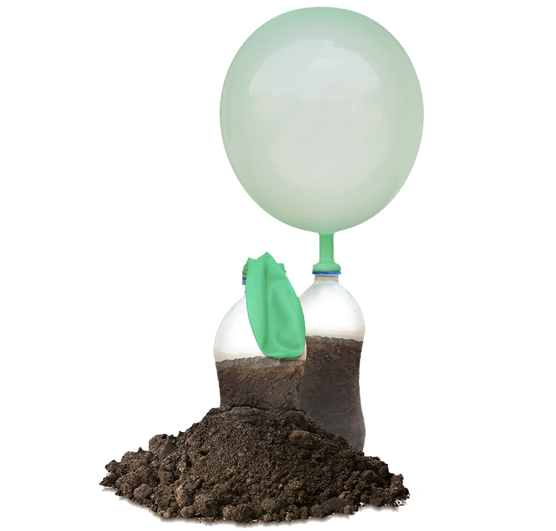 ALCOSAN Breathing Bugs Activity 