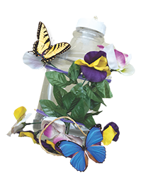 Butterfly Feeder Example