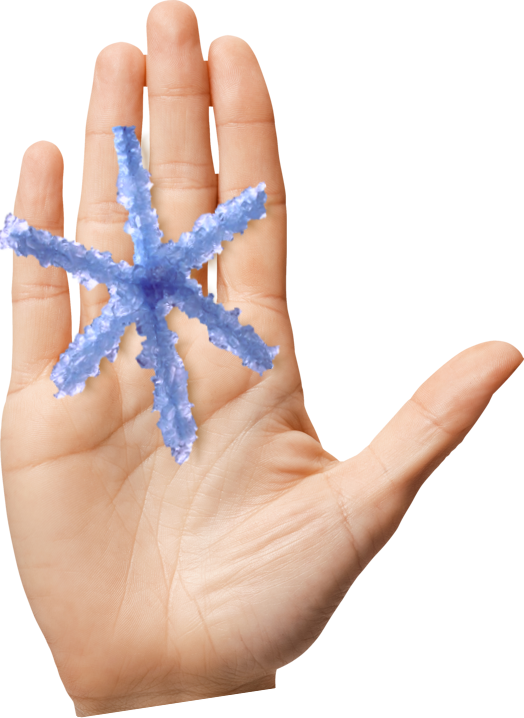 Get Schooled By Science - ALCOSAN