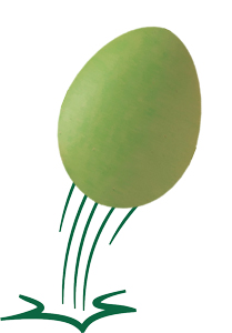Bouncy Egg