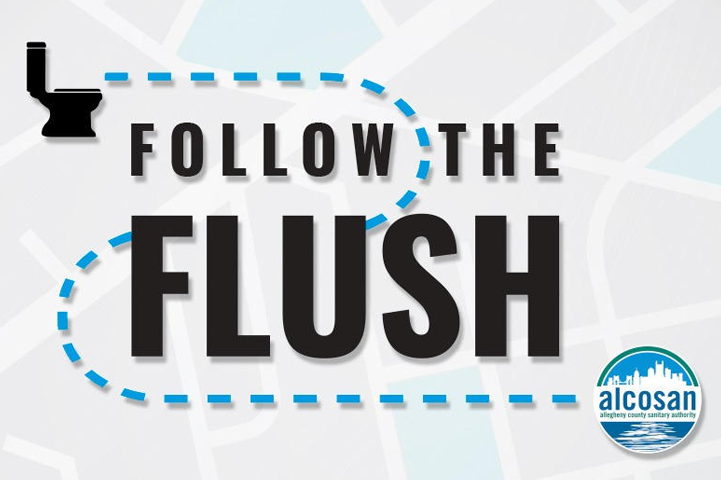 Follow the Flush