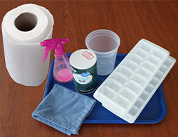 ice sculptures supplies