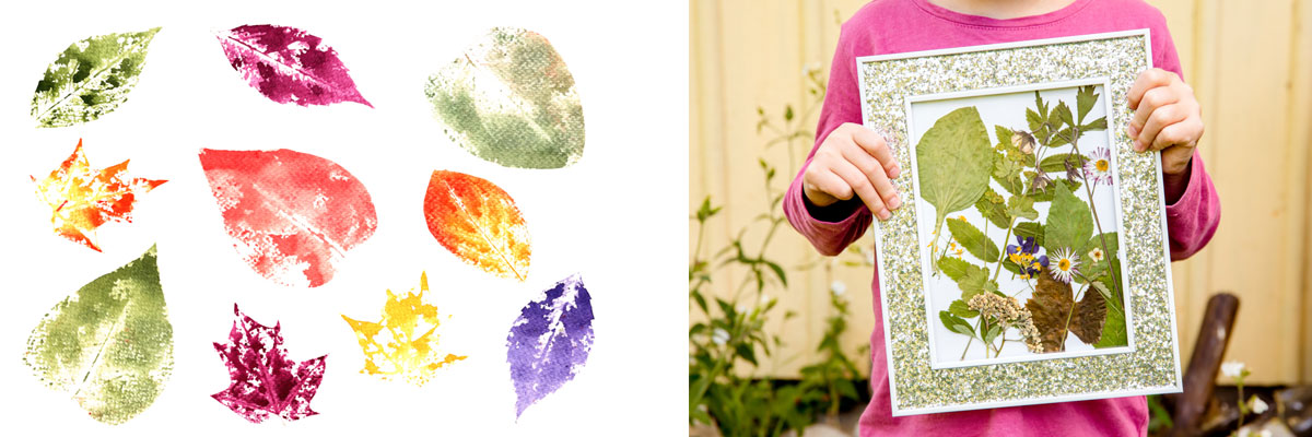 Leaf Print and colors