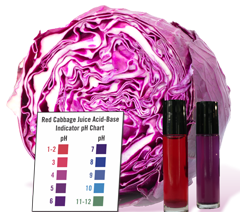 Red Cabbage pH testing chart
