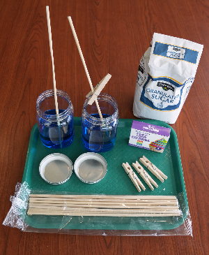 Rock Candy Experiment materials needed