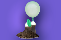 Breathing bugs activity