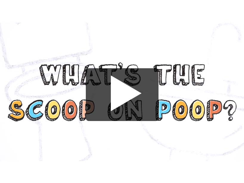 What's The Scoop on Poop?