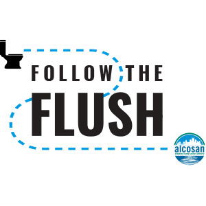 Follow the Flush